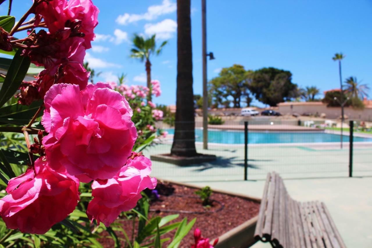 Soleado Apartamento Vistas Al Mar Los Cristianos 로스크리스티아노스 외부 사진